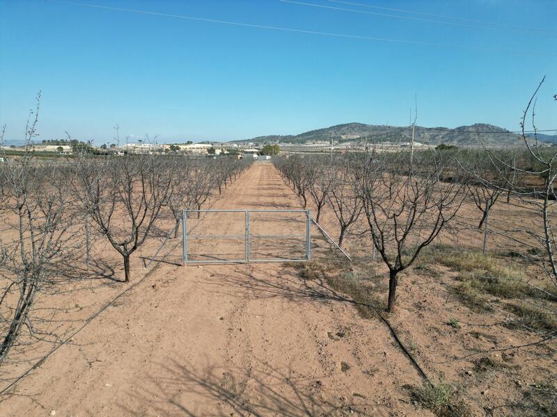 Land for sale