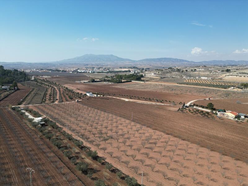 Land for sale