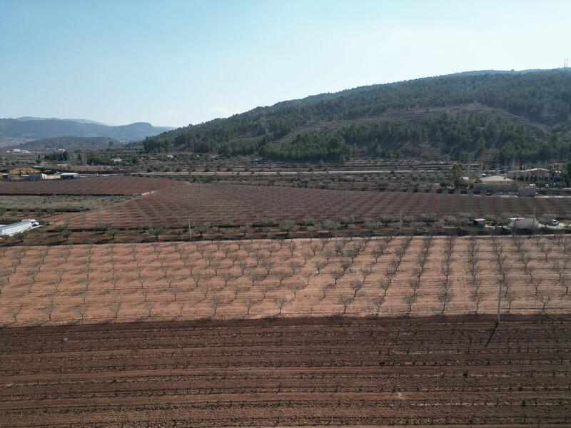 Land for sale