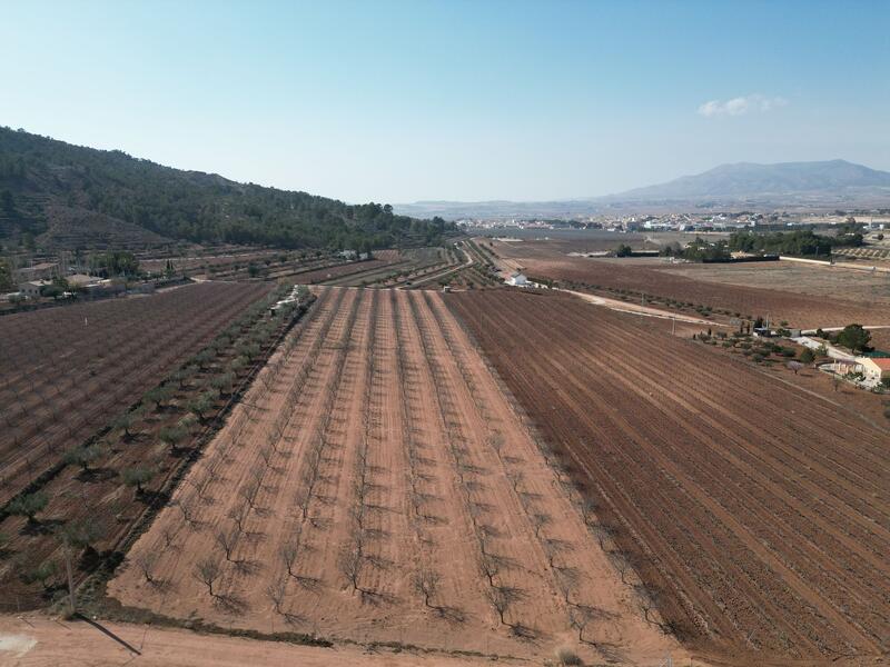 Land for sale