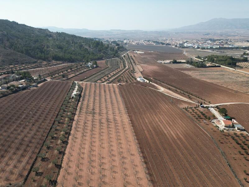 Land for sale