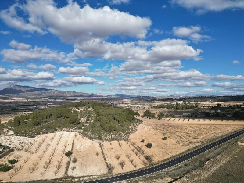 Terrenos en venta en La Zarza, Murcia