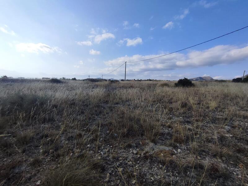 Land for sale
