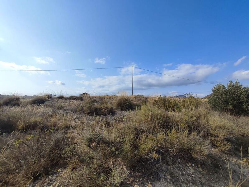 Land for sale