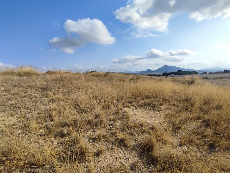 Land for sale