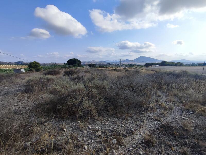 Land for sale