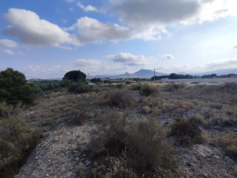 Land for sale