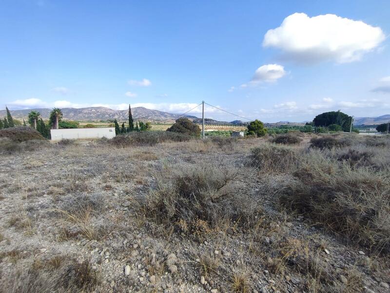 Land for sale