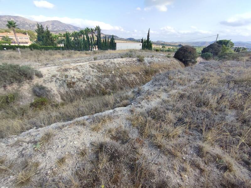Land for sale