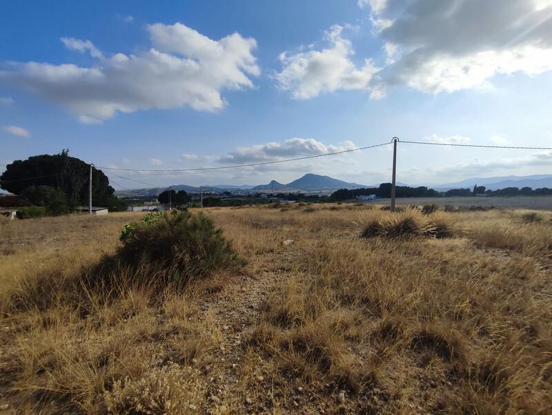 Land for sale