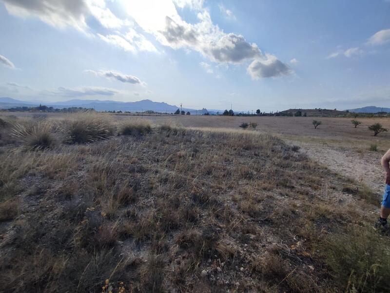 Land for sale