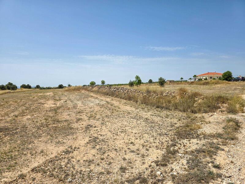 Terrenos en venta en Pinoso, Alicante