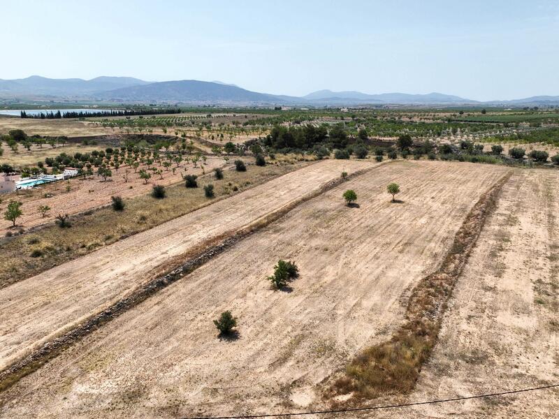 Terrenos en venta