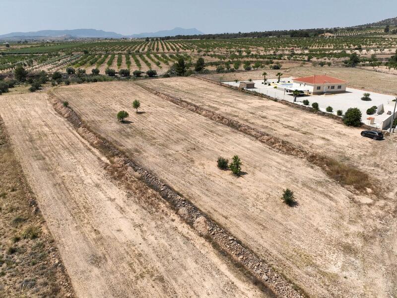 Terrenos en venta