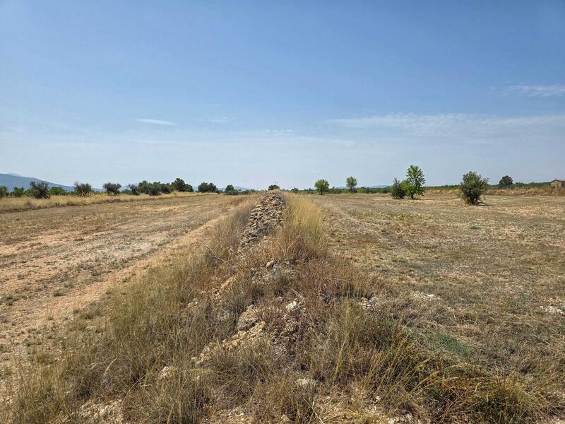 Terrenos en venta