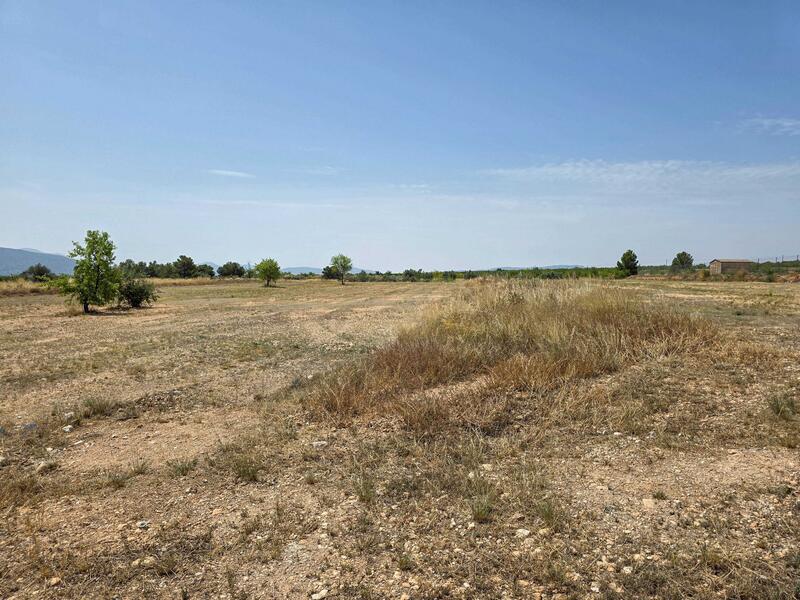 Terrenos en venta