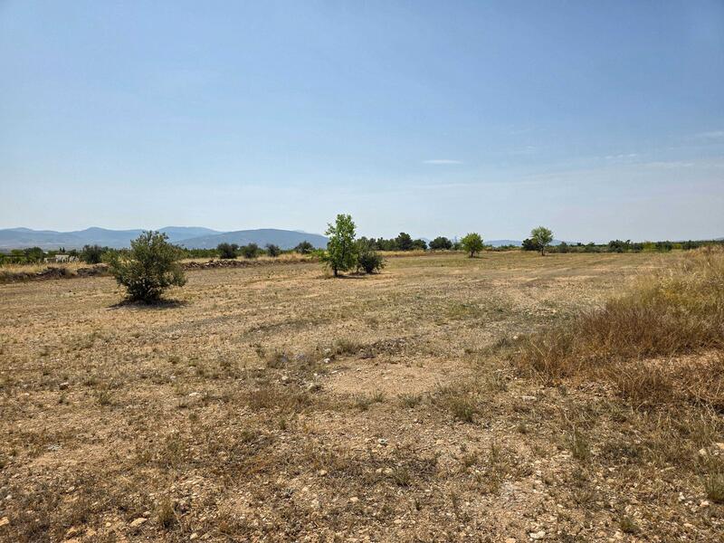 Terrenos en venta