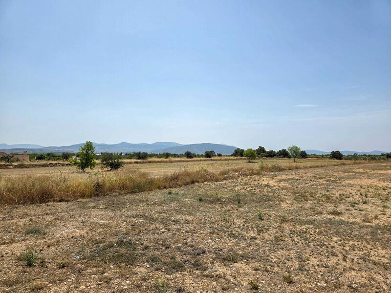 Terrenos en venta