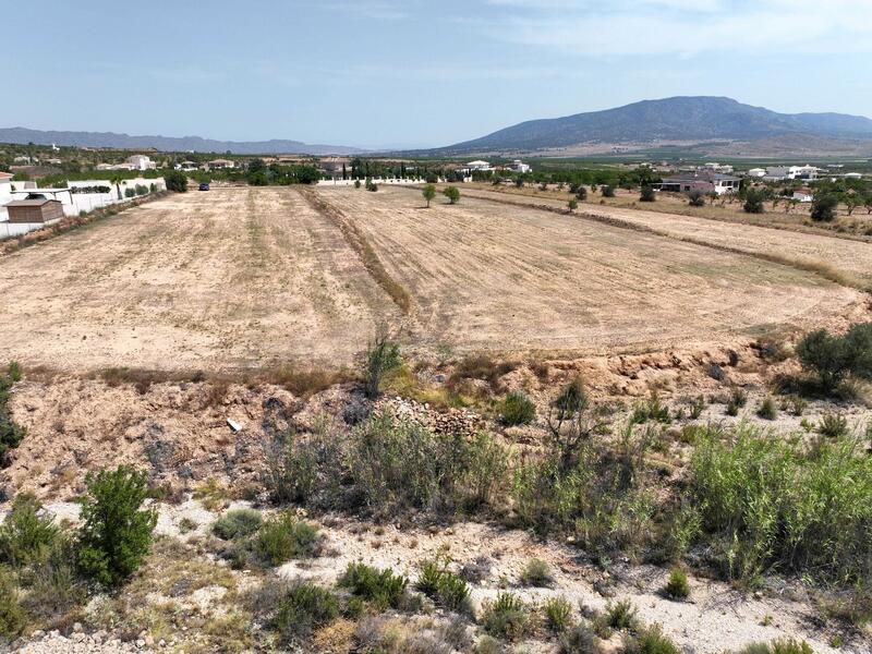 Terrenos en venta