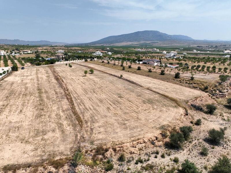 Terrenos en venta