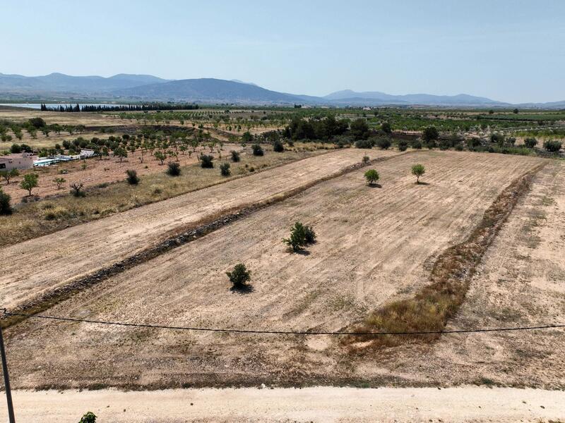 Terrenos en venta