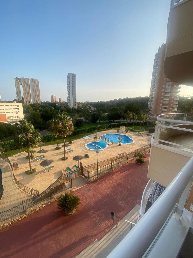 Appartement zu verkaufen in Benidorm, Alicante
