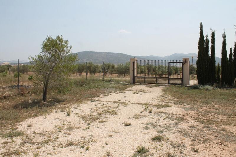 4 Cuarto Casa de Campo en venta