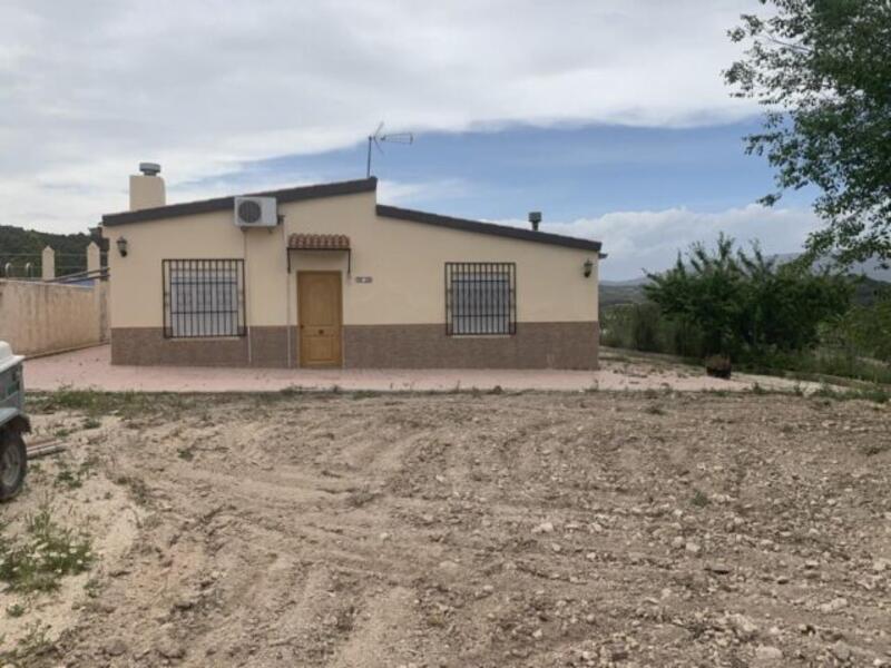 Villa à vendre dans Pinoso, Alicante