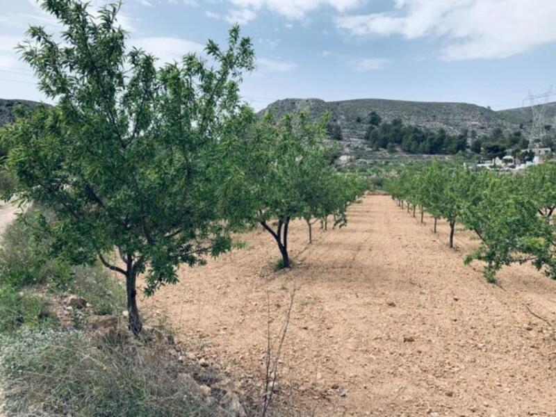 Terrenos en venta en La Romana, Alicante