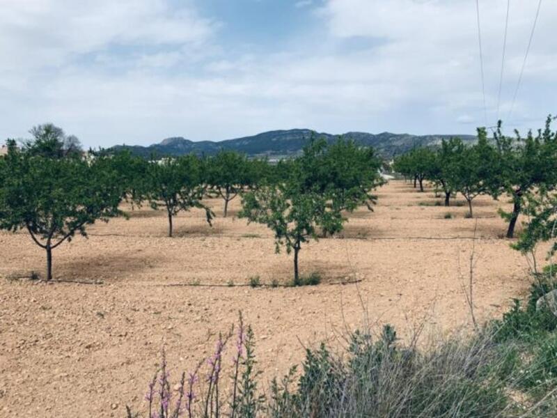 Terrain à vendre
