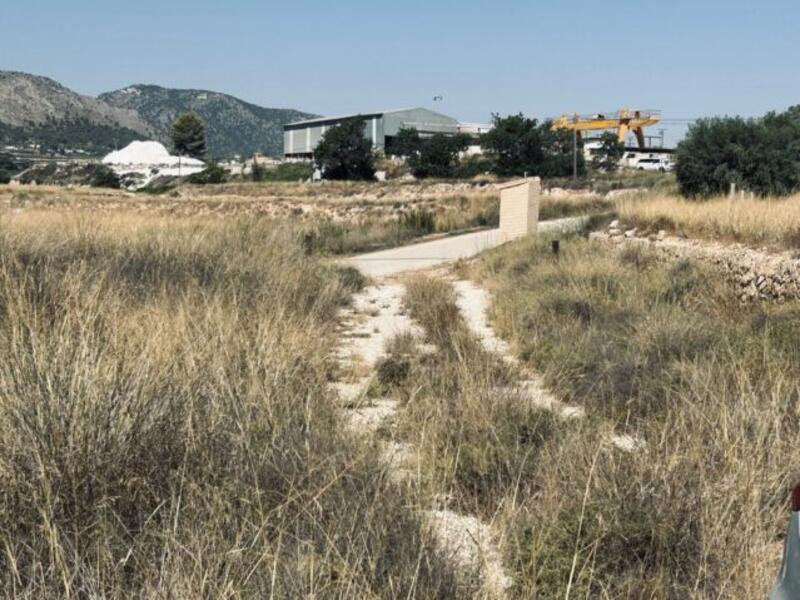 Terrenos en venta en La Romana, Alicante