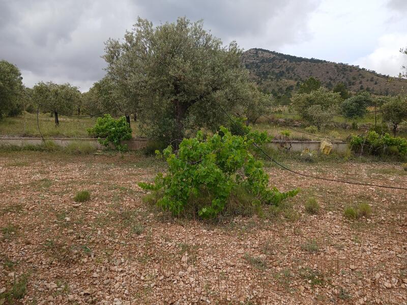 5 Cuarto Casa de Campo en venta