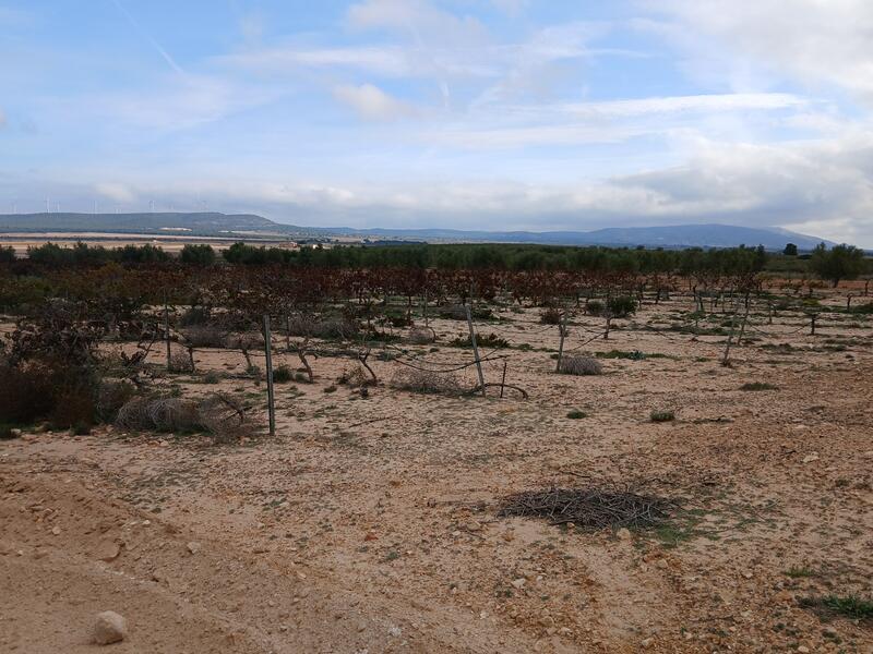 Terrenos en venta