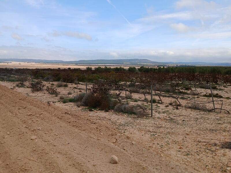 Terrenos en venta