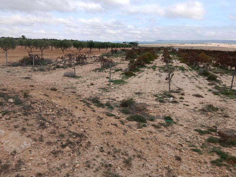 Terrenos en venta