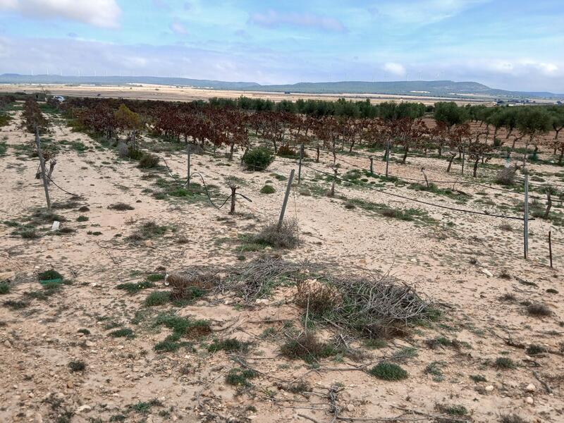 Terrenos en venta