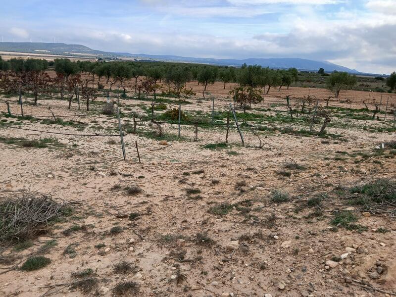 Terrenos en venta