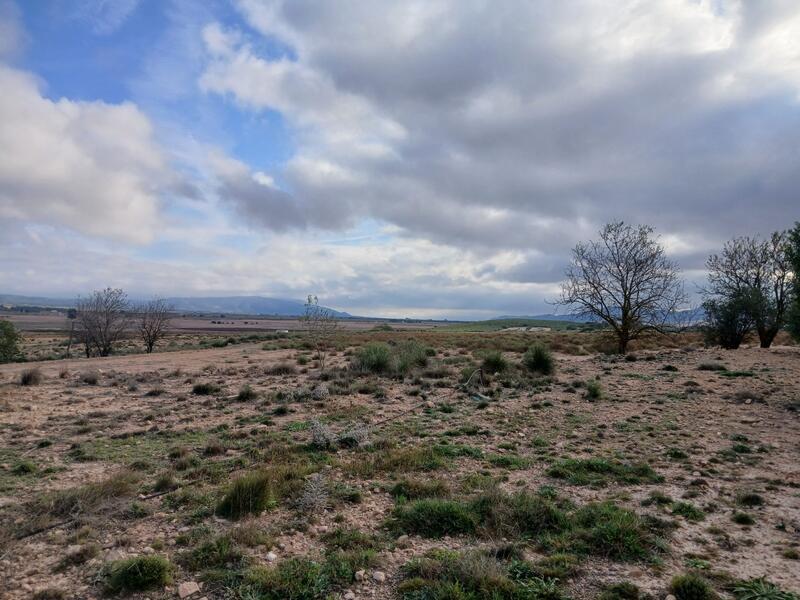 Terrenos en venta