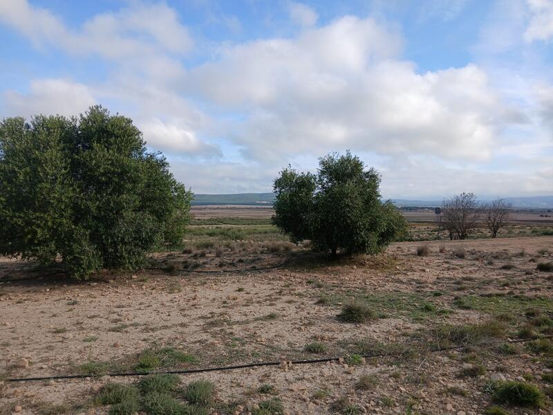 Terrenos en venta