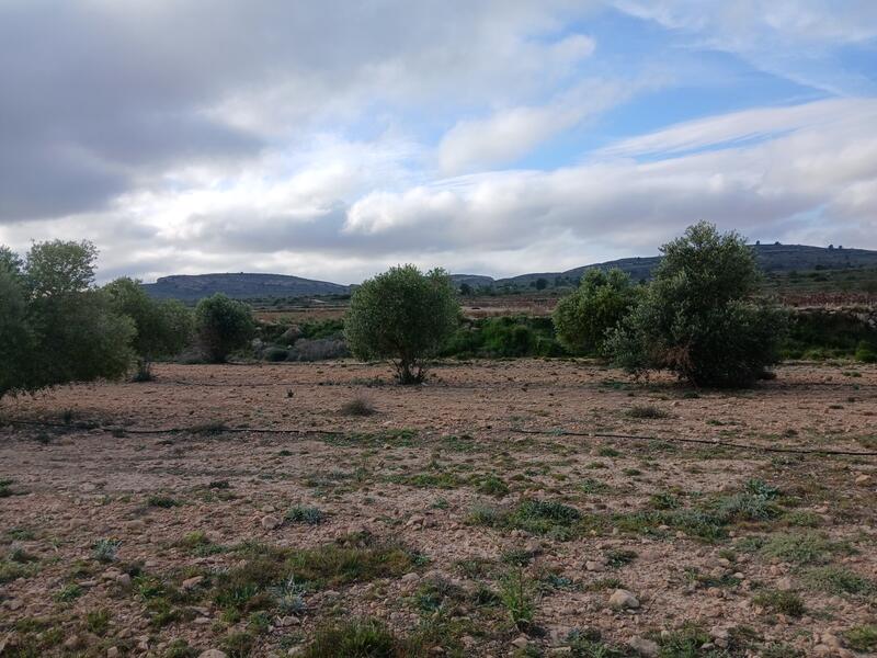 Terrenos en venta