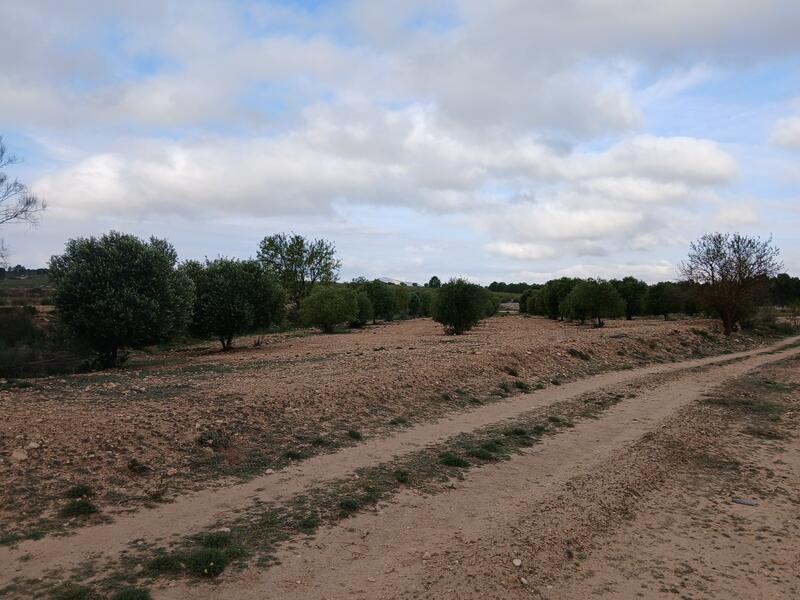 Terrenos en venta