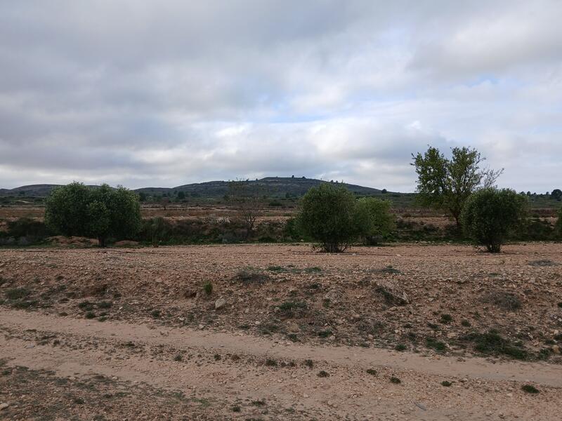 Terrenos en venta