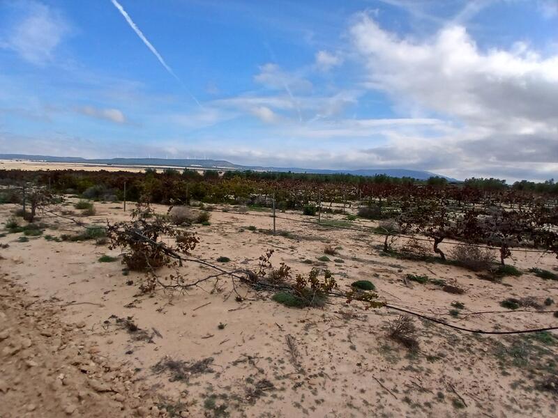 Terrenos en venta