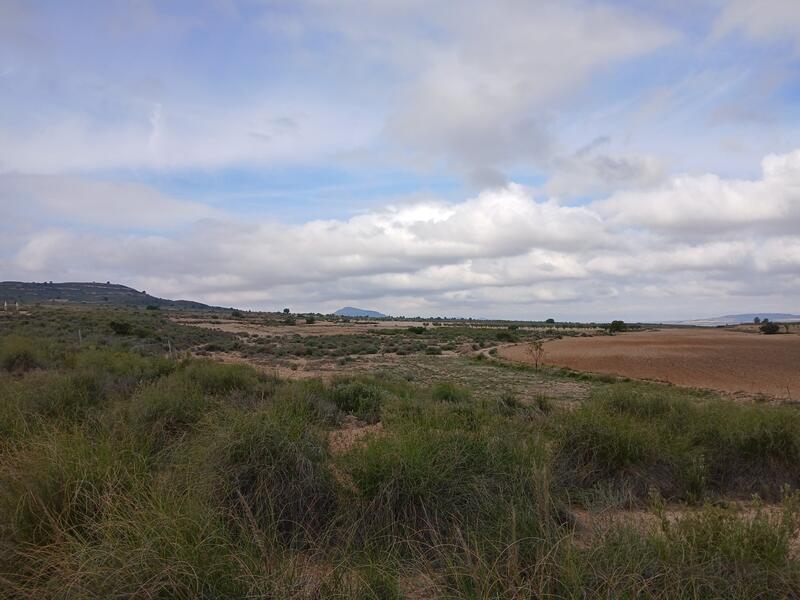 Terrenos en venta
