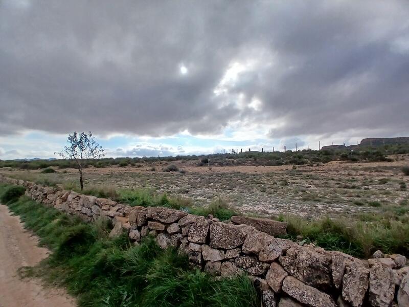 Terrenos en venta