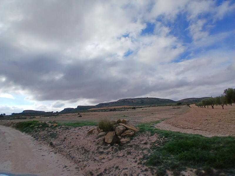 Terrenos en venta