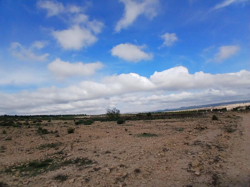 Terrenos en venta