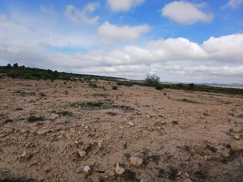 Terrenos en venta