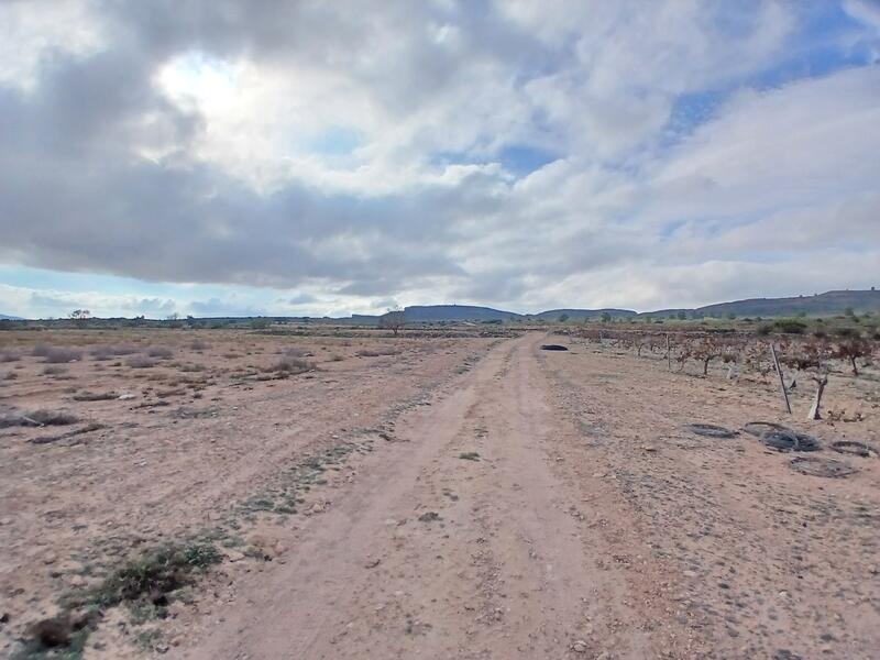 Terrenos en venta