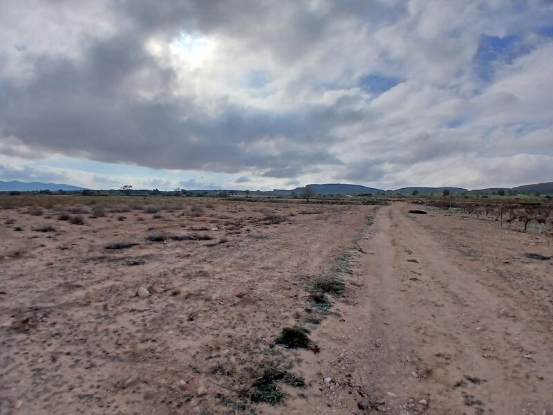 Terrenos en venta